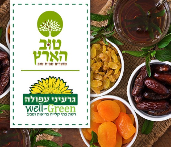 גרעיני עפולה- well green