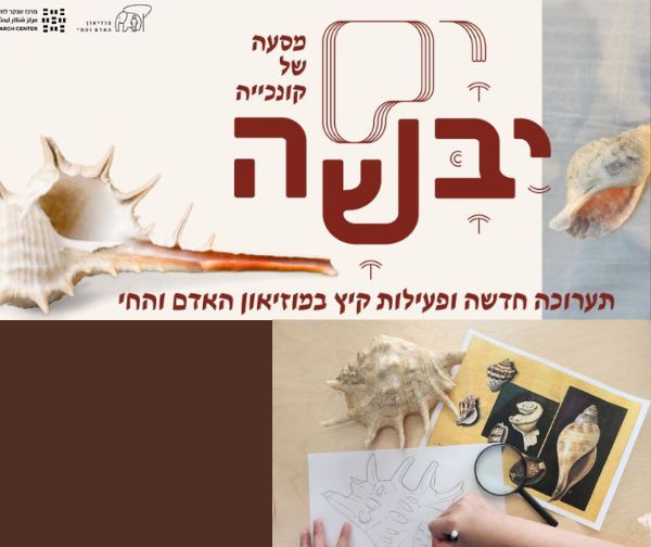 מוזיאון האדם והחי - קיץ 2023