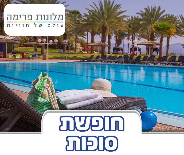 פרימה מיוזיק אילת - סוכות א'